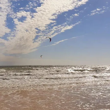 Paraiso! *
