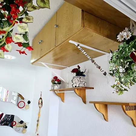 Paraíso! Apartamento Matalascañas