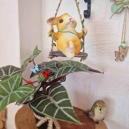 Apartamento Paraíso!