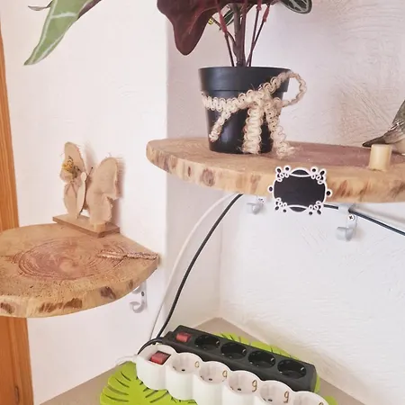 Paraiso! 아파트